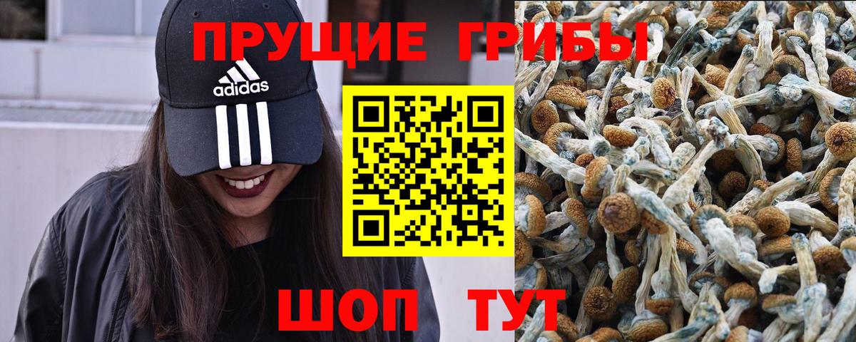 Галлюциногенные грибы Psilocybine cubensis  Вход с VPN  Псилоцибиновые грибы Magic Shrooms  Фурманов 