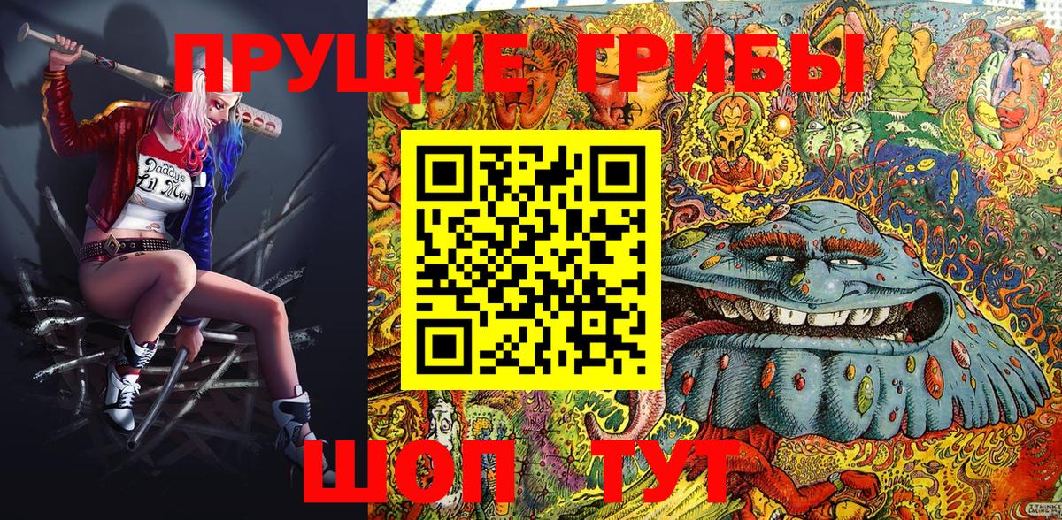 Псилоцибиновые грибы Psilocybine cubensis Фурманов